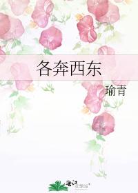 乘势有为 迎新而上!第三届湖湘青年律师创新发展论坛圆满落幕!