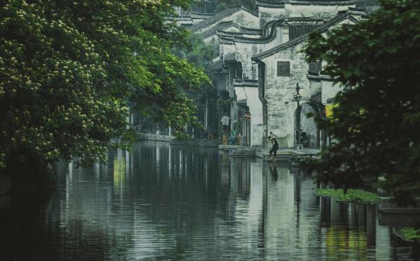 燃烧吧大脑免广告最新版